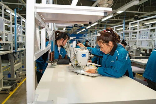 高新區職工勞動和技能競賽在延鋒安道拓工廠成功舉辦，網絡技術服務助力‘五個百萬’競賽落地